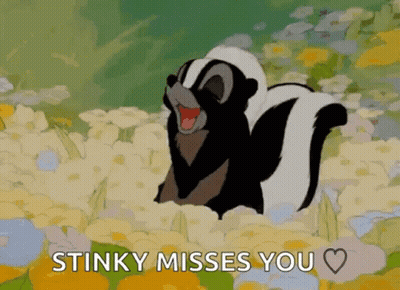 Cartoon Skunk In Flowers Saying Stinky Misses You GIF