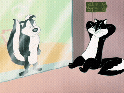 Cartoon Skunk Standing In Front Of Mirror GIF