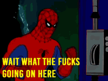 Cartoon Spiderman Wait What GIF