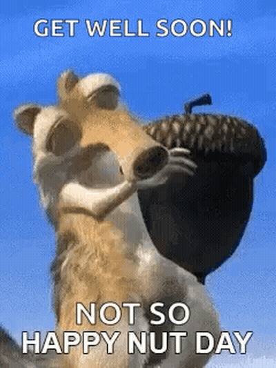 Cartoon Squirrel Holding Acorn Says Get Well Soon Not So Happy Nut Day GIF