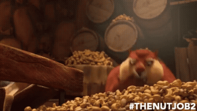 Cartoon Squirrel Standing In Pile Of Nuts #Thenutjob2 GIF