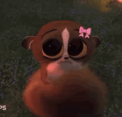 Cartoon Squirrel With Pink Bow In Flower Field GIF