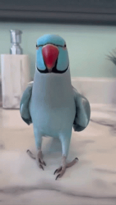 Cartoon Standing In Front Of To Be Continued Sign GIF