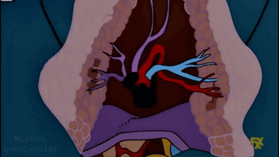 Cartoon Stomach With FX Written GIF