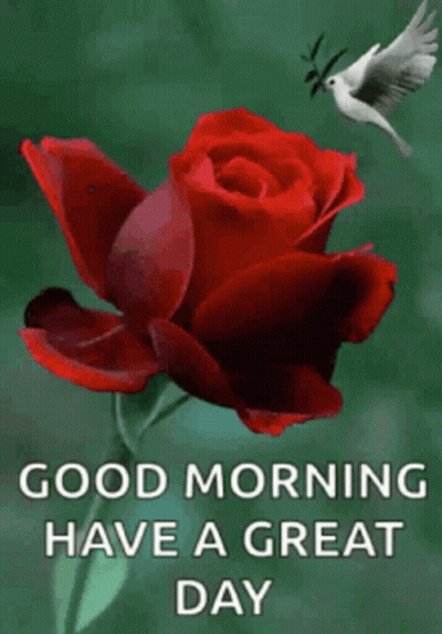 Cartoon Sunflower Saying Good Morning GIF