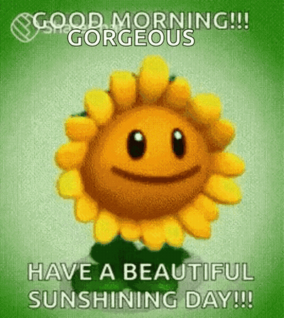 Cartoon Sunflower Saying Good Morning Gorgeous GIF