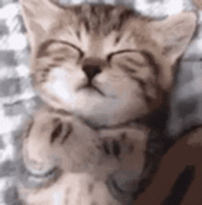 Cartoon Teddy Bear Drinking From Cup GIF