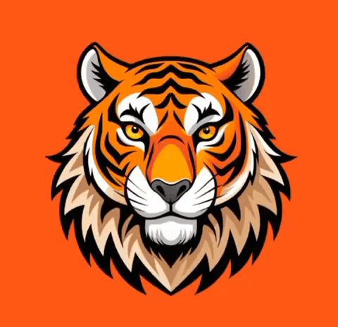 Cartoon Tiger Head on Orange Background