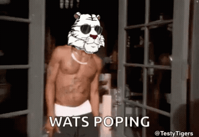 Cartoon Tiger In Hat And Black Shirt GIF