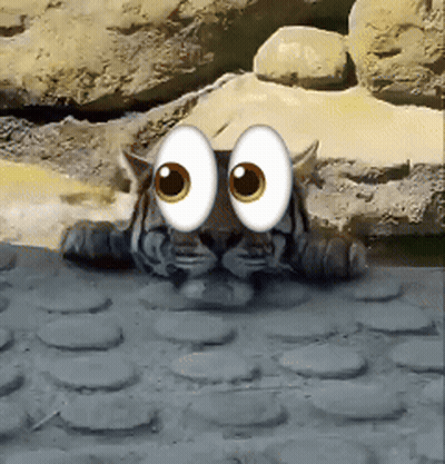 Cartoon Tiger Laying Down GIF