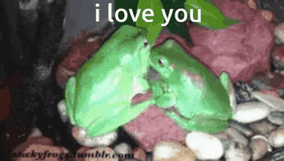 Cartoon Toad With Red And White Hat GIF