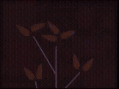 Cartoon Tree With Letter F GIF