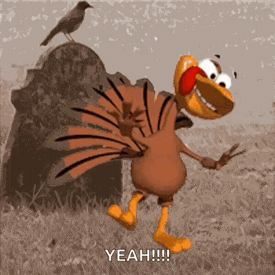 Cartoon Turkey Dancing With Bird On Rock GIF
