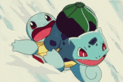 Cartoon Turtle And Cat GIF