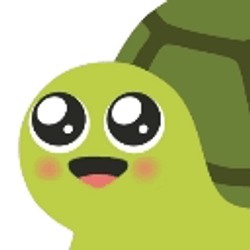 Cartoon Turtle Cute Eyes GIF