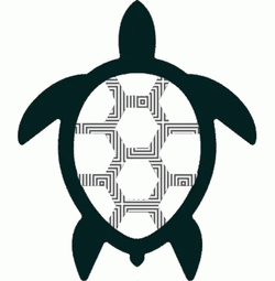 Cartoon Turtle Glitching GIF