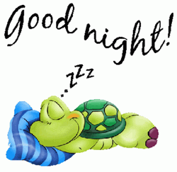 Cartoon Turtle Sleeping Good Night GIF