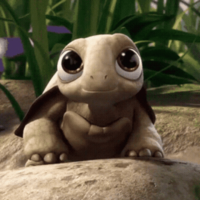 Cartoon Turtle Smiling On Rock GIF