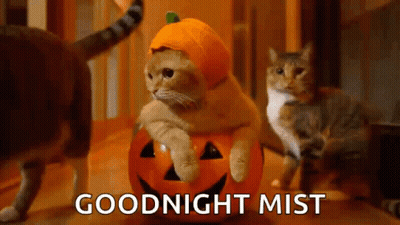 Cartoon Vampire Costume Close Up GIF