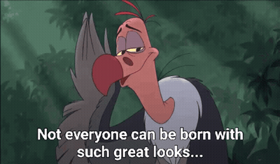 Cartoon Vulture Says Not Everyone Can Be Born With Such Great Looks GIF