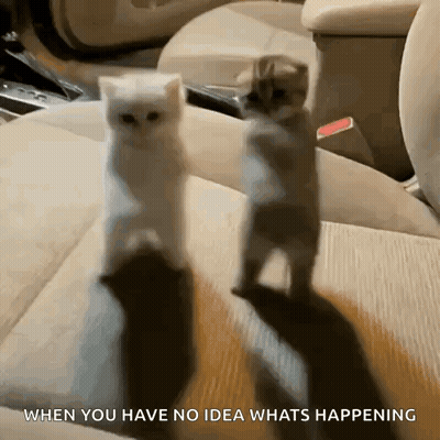 Cartoon Woman Holding Man On Shoulders GIF