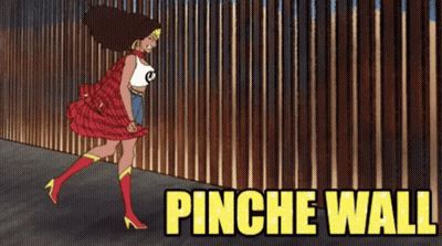 Cartoon Woman In Front Of Fence Saying Pinche Wall GIF