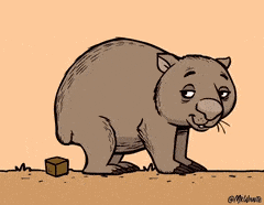 Cartoon Wombat Dropping Square Poops GIF