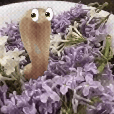 Cartoon Worm Crawling On Plate Of Purple Flowers GIF