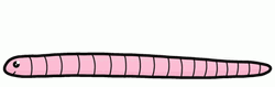 Cartoon Worm Crawling GIF