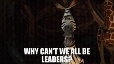 Cartoon Zebra Asking Why Can't We All Be Leaders GIF