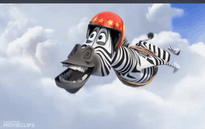 Cartoon Zebra Flying With Red Helmet GIF