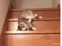 Case Of The Mondays GIF