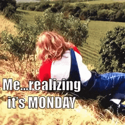 Case Of The Mondays Slipping Downhill Meme GIF