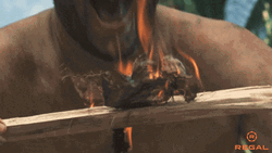 Cast Away Tom Hanks Laughing GIF