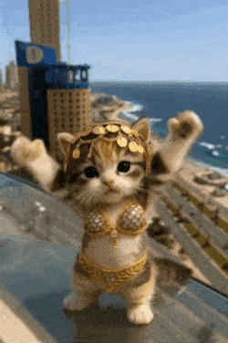 Cat Ai Video GIF