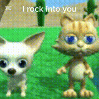 Cat And Chihuahua Rocking GIF