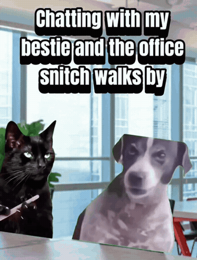 Cat And Dog Chatting With My Bestie And The Office Snitch Walks By GIF