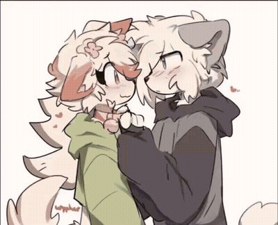 Cat And Dog Looking At Each Other GIF