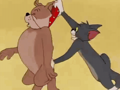 Cat And Dog Playing GIF
