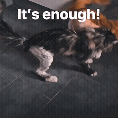 Cat And Dog Playing Saying It's Enough GIF