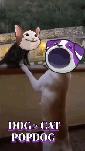 Cat And Dog With Dog > Cat Popdog GIF