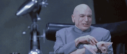 Cat And Dr Evil Right  GIF