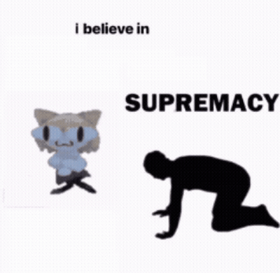 Cat And Man Kneeling I Believe In Supremacy GIF