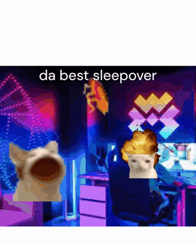Cat And Man With Da Best Sleepover GIF