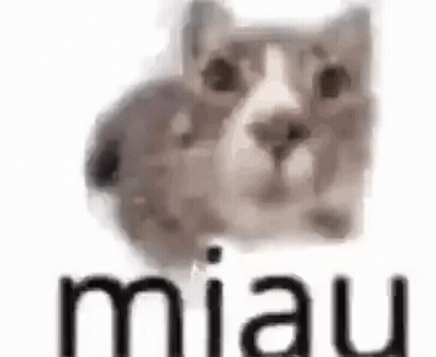 Cat And Mouse Sitting Together GIF