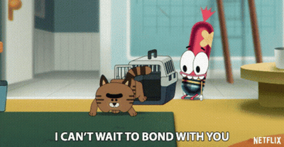 Cat And Netflix Advertisement GIF