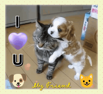 Cat And Puppy I Love U My Friend GIF