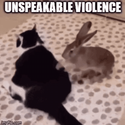 Cat and Rabbit Sitting on Blanket Saying Unspeakable Violence