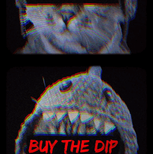 Cat And Shark With Buy The Dip GIF