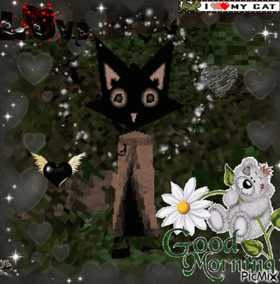 Cat And Teddy Bear Saying Good Morning GIF